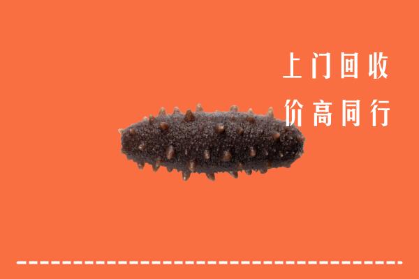 附近收购：古塔区回收海参