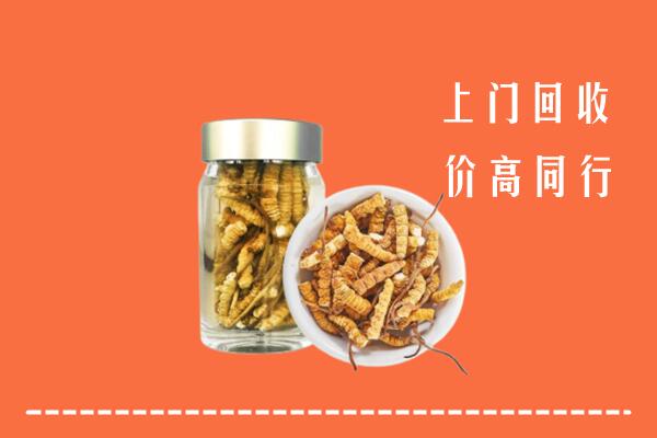 高价求购：古塔区回收冬虫夏草